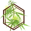 Business Image