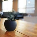 Business Image
