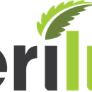 Business Image