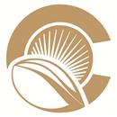 Business Image