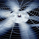 Business Image