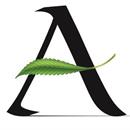 Business Image